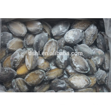 Abalone fresco para la venta entera (con el shell)